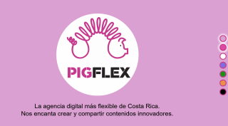 Agencia web Pigflex, Costa Rica